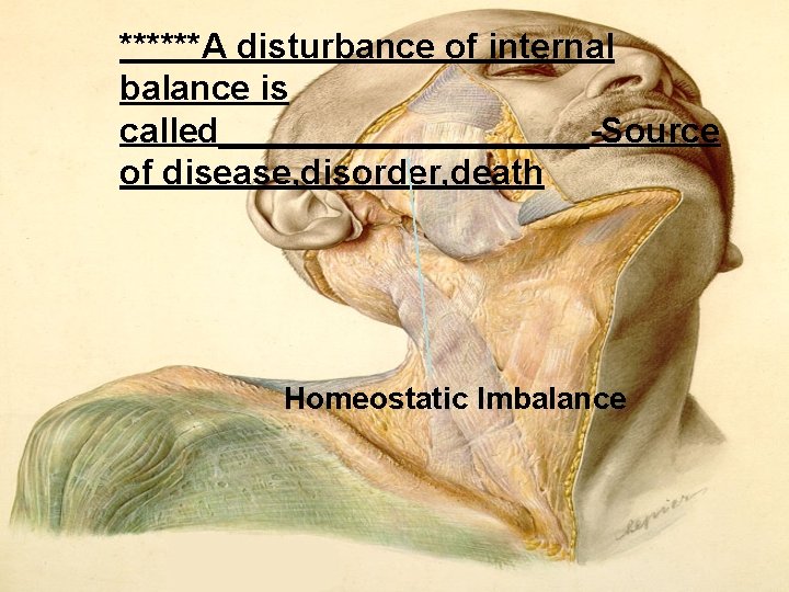 ******A disturbance of internal balance is called__________ Source of disease, disorder, death Homeostatic Imbalance ******A disturbance of internal balance is called__________ Source of disease, disorder, death Homeostatic Imbalance