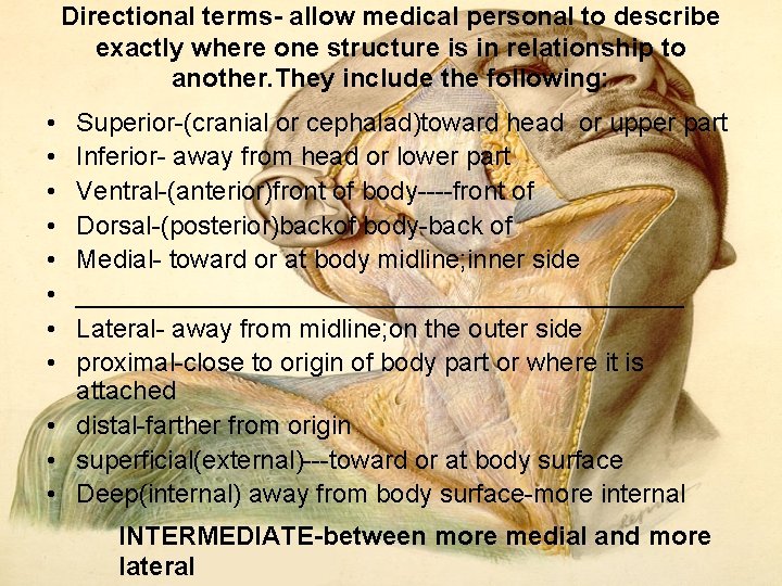 Directional terms allow medical personal to describe exactly where one structure is in relationship Directional terms allow medical personal to describe exactly where one structure is in relationship