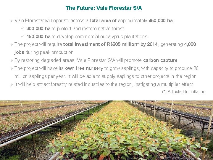 The Future: Vale Florestar S/A Ø Vale Florestar will operate across a total area