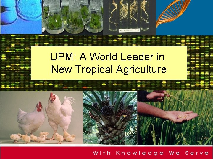 UPM: A World Leader in New Tropical Agriculture 