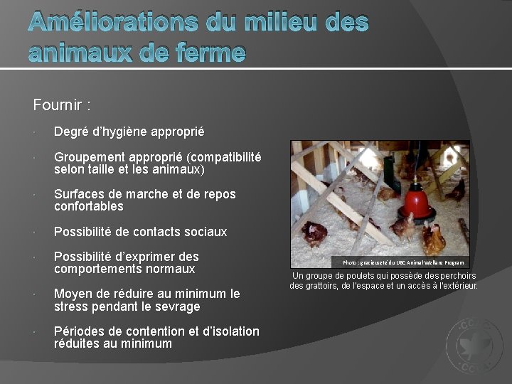 Améliorations du milieu des animaux de ferme Fournir : Degré d’hygiène approprié Groupement approprié