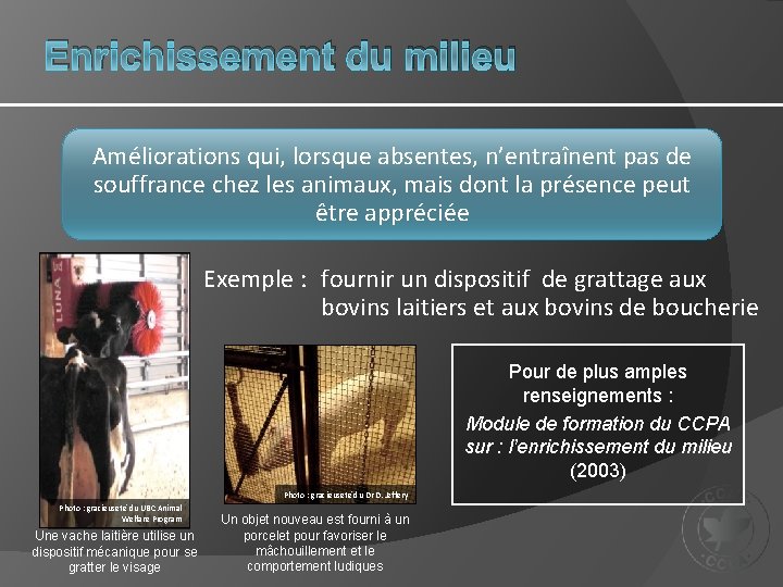 Enrichissement du milieu Améliorations qui, lorsque absentes, n’entraînent pas de souffrance chez les animaux,