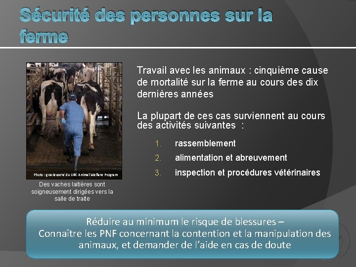 Sécurité des personnes sur la ferme Travail avec les animaux : cinquième cause de