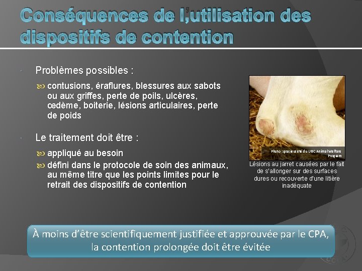 Conséquences de l’utilisation des dispositifs de contention Problèmes possibles : contusions, éraflures, blessures aux