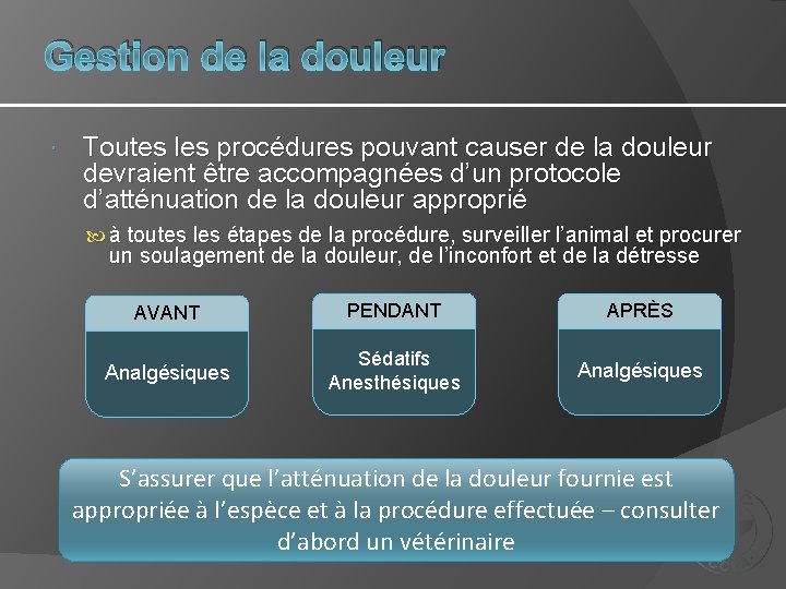 Gestion de la douleur Toutes les procédures pouvant causer de la douleur devraient être