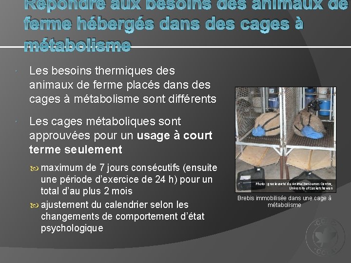 Répondre aux besoins des animaux de ferme hébergés dans des cages à métabolisme Les