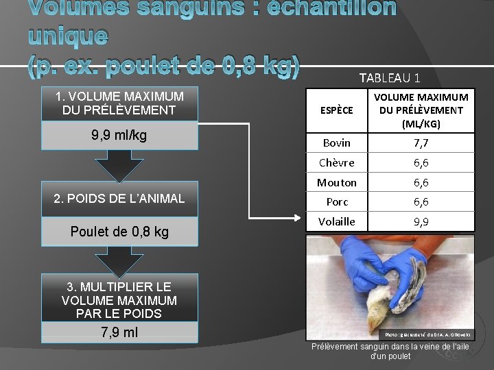 Volumes sanguins : échantillon unique (p. ex. poulet de 0, 8 kg) TABLEAU 1