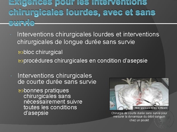 Exigences pour les interventions chirurgicales lourdes, avec et sans survie Interventions chirurgicales lourdes et