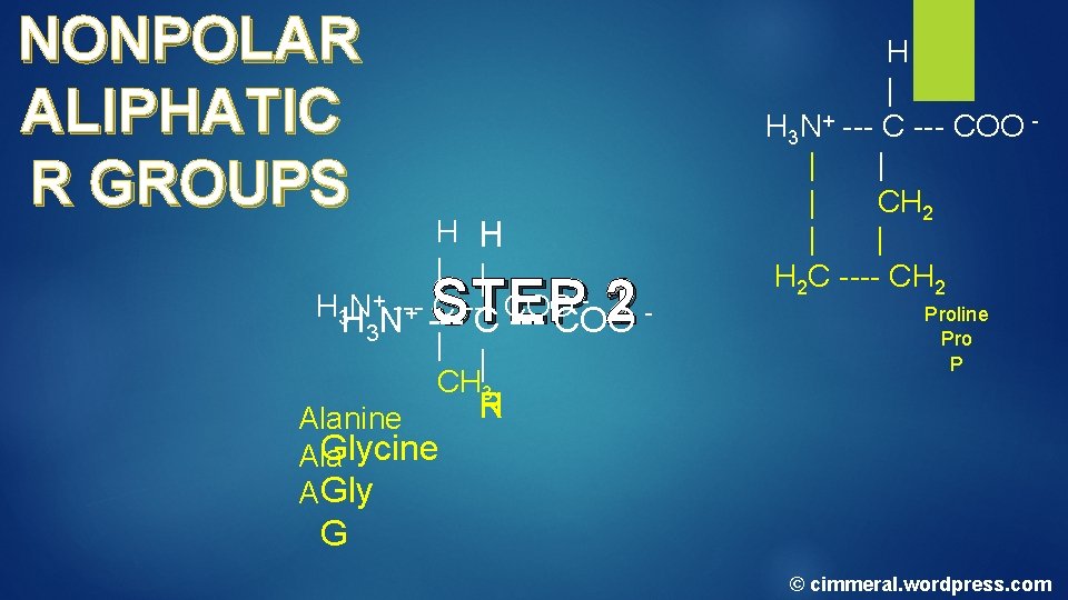 NONPOLAR ALIPHATIC R GROUPS H H | | H 3 H N+N--C --COO + NONPOLAR ALIPHATIC R GROUPS H H | | H 3 H N+N--C --COO +