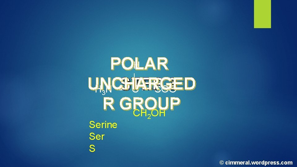H POLAR | UNCHARGED STEP 3 H N --C --- COO | R GROUP H POLAR | UNCHARGED STEP 3 H N --C --- COO | R GROUP