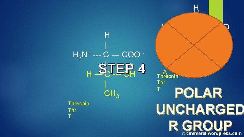 H | H 3 N+ --- COO | H --- C --- OH | H | H 3 N+ --- COO | H --- C --- OH |