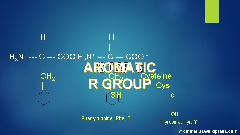H H | | - N+ --- COO H 3 | | CH 2 H H | | - N+ --- COO H 3 | | CH 2