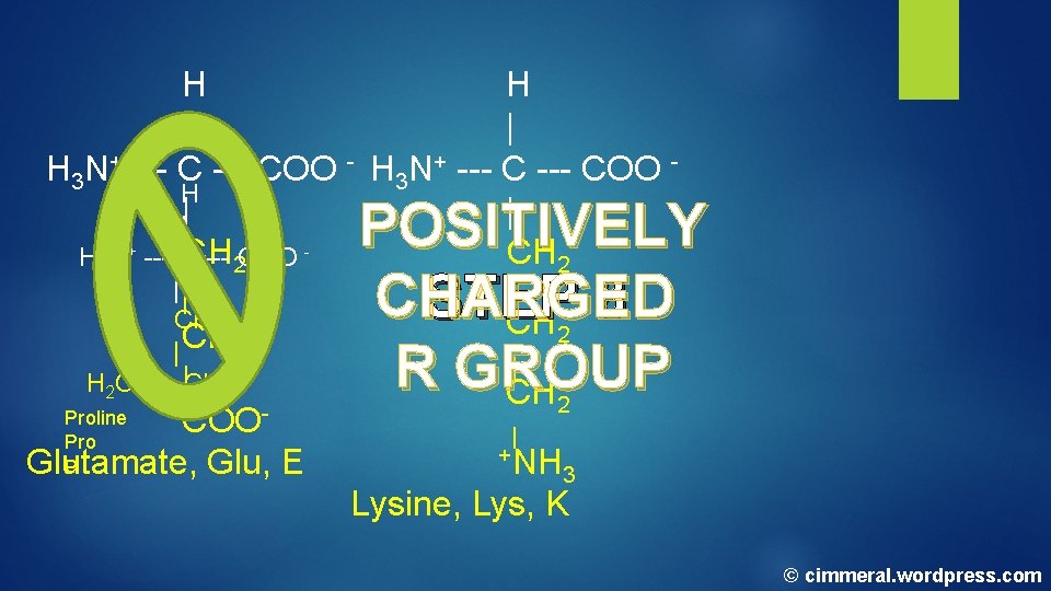 H H | | H 3 N+ --- COO - H 3 N+ --- H H | | H 3 N+ --- COO - H 3 N+ ---