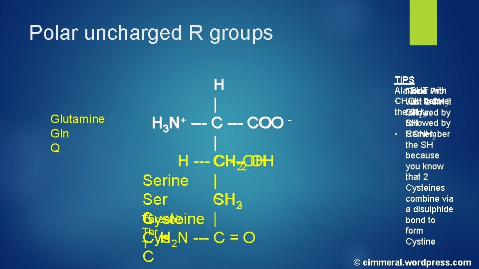 Polar uncharged R groups Glutamine Gln Q H | H 3 N+ --- COO Polar uncharged R groups Glutamine Gln Q H | H 3 N+ --- COO