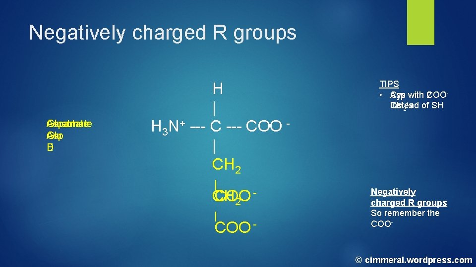 Negatively charged R groups Gluatmate Aspartate Glu Asp E D H | H 3 Negatively charged R groups Gluatmate Aspartate Glu Asp E D H | H 3