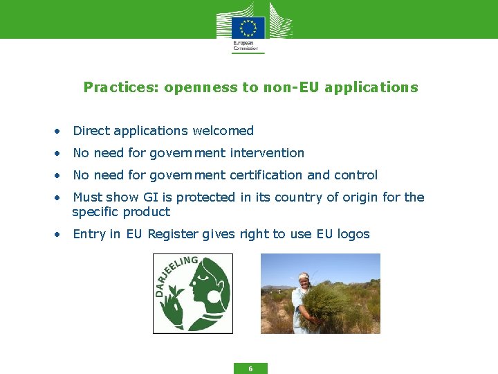 Practices: openness to non-EU applications • Direct applications welcomed • No need for government