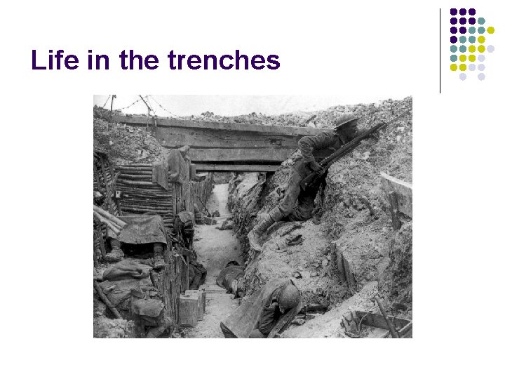 Life in the trenches 