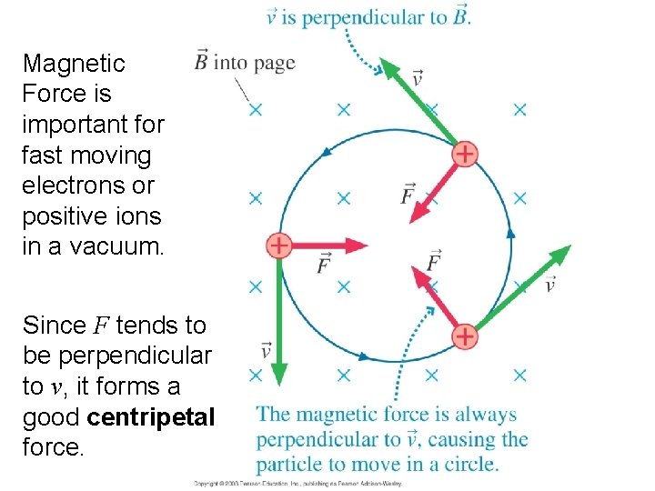 Magnetic Force is important for fast moving electrons or positive ions in a vacuum.