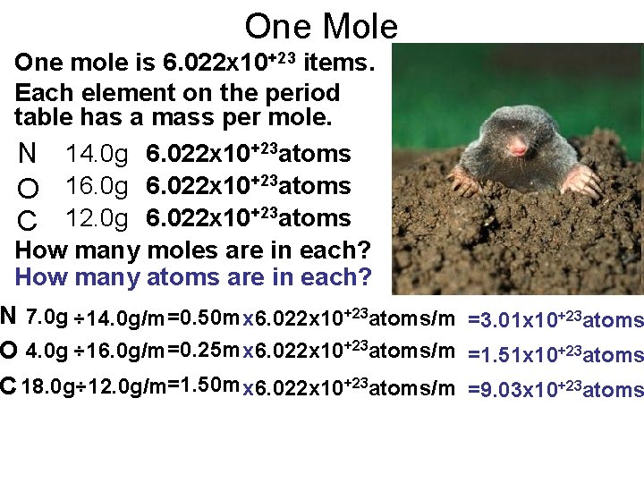 One Mole One mole is 6. 022 x 10+23 items. Each element on the