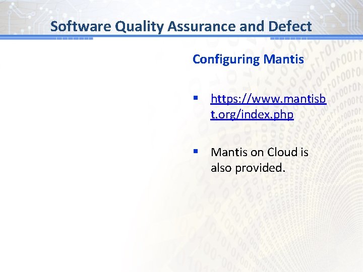 #1 Software Quality. BG Assurance and Defect Configuring Mantis § https: //www. mantisb t.