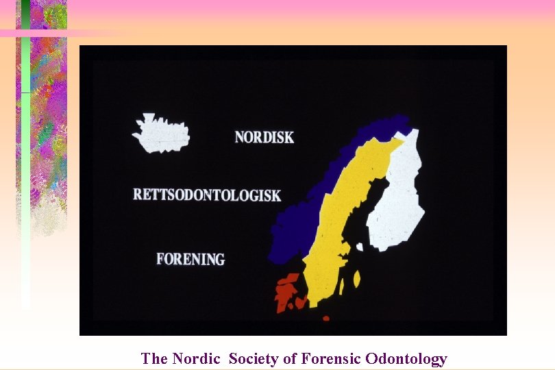 The Nordic Society of Forensic Odontology 