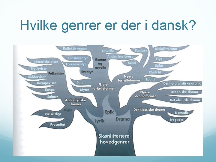 Hvilke genrer er der i dansk? 