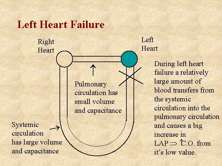 Left Heart Failure Left Heart Right Heart Pulmonary circulation has small volume and capacitance