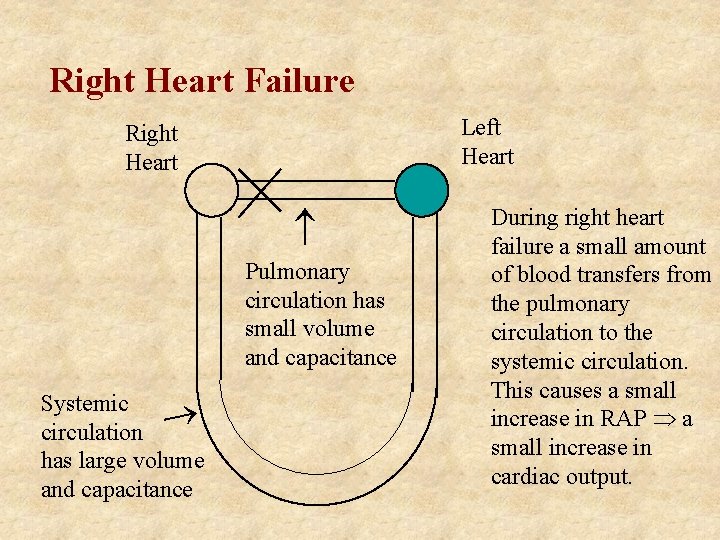 Right Heart Failure Left Heart Right Heart Pulmonary circulation has small volume and capacitance