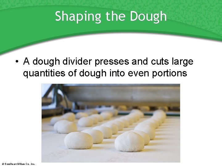 Shaping the Dough • A dough divider presses and cuts large quantities of dough