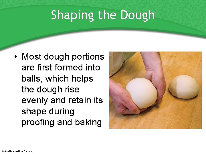 Shaping the Dough • Most dough portions are first formed into balls, which helps