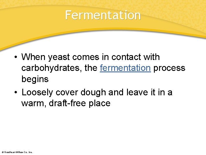 Fermentation • When yeast comes in contact with carbohydrates, the fermentation process begins •