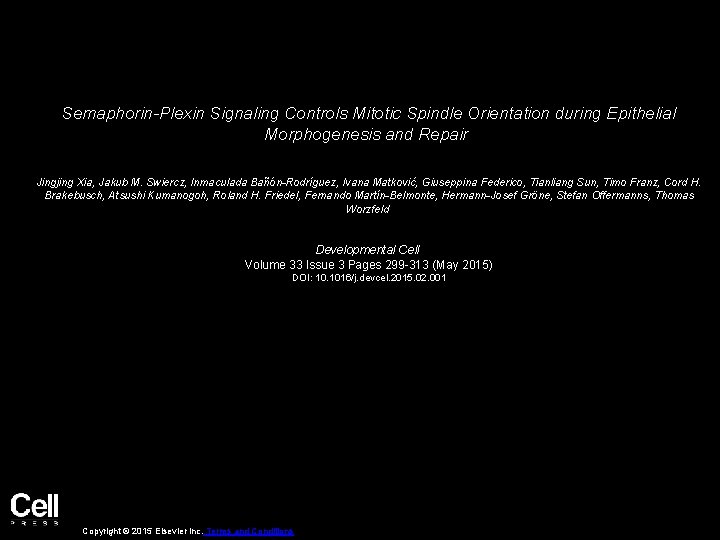 Semaphorin-Plexin Signaling Controls Mitotic Spindle Orientation during Epithelial Morphogenesis and Repair Jingjing Xia, Jakub