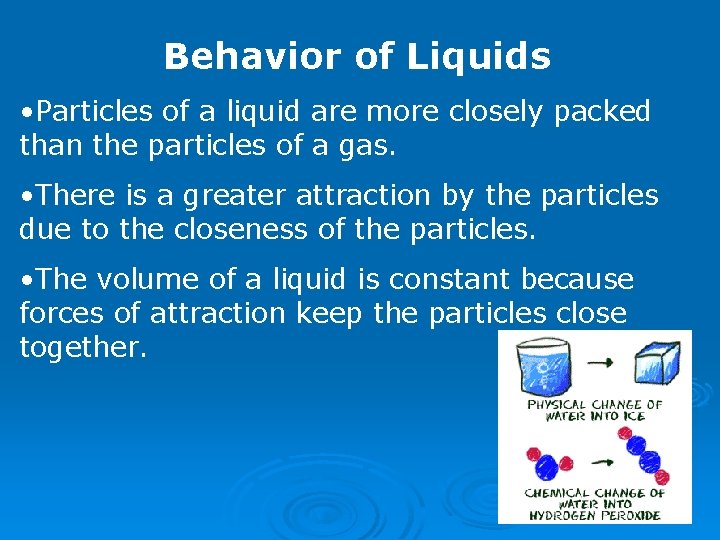 Behavior of Liquids • Particles of a liquid are more closely packed than the