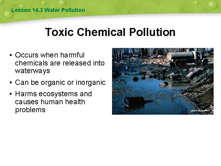 Lesson 14. 3 Water Pollution Toxic Chemical Pollution • Occurs when harmful chemicals are