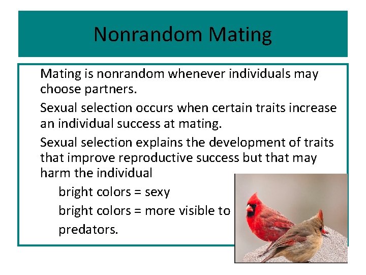 Nonrandom Mating is nonrandom whenever individuals may choose partners. Sexual selection occurs when certain