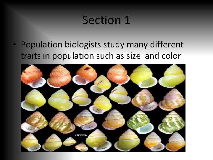 Section 1 • Population biologists study many different traits in population such as size