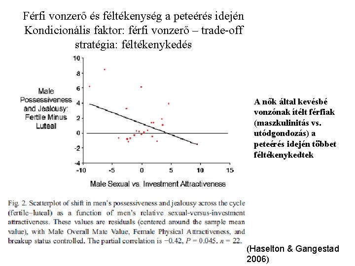 Férfi vonzerő és féltékenység a peteérés idején Kondicionális faktor: férfi vonzerő – trade-off stratégia: