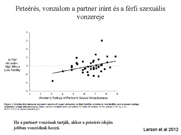 Peteérés, vonzalom a partner iránt és a férfi szexuális vonzereje Ha a partnert vonzónak