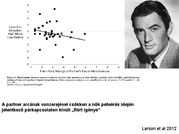 A partner arcának vonzerejével csökken a nők peteérés idején jelentkező párkapcsolaton kívüli „flört igénye”