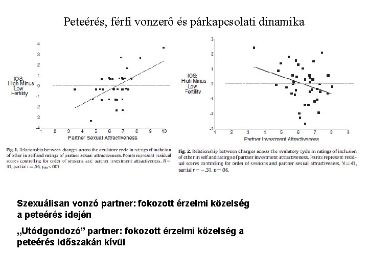 Peteérés, férfi vonzerő és párkapcsolati dinamika Szexuálisan vonzó partner: fokozott érzelmi közelség a peteérés