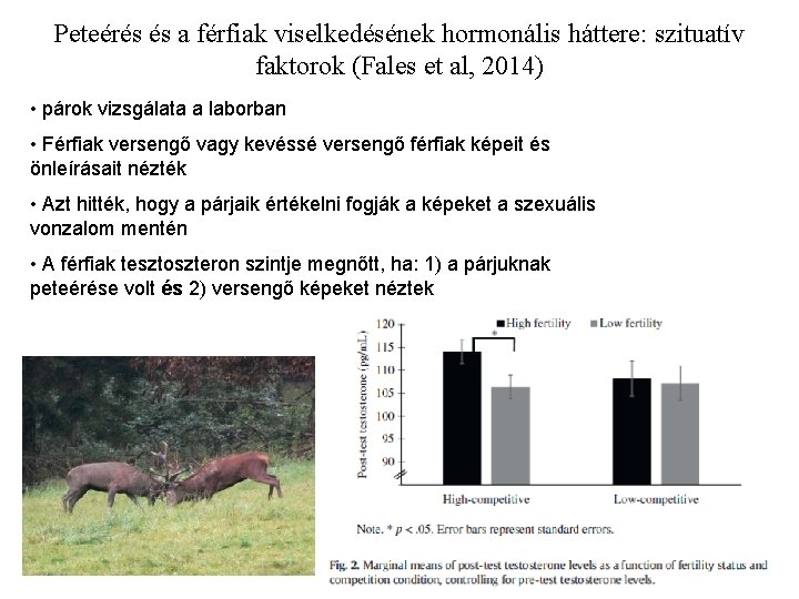 Peteérés és a férfiak viselkedésének hormonális háttere: szituatív faktorok (Fales et al, 2014) •