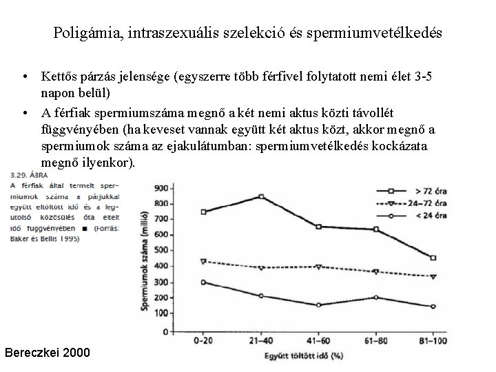 Poligámia, intraszexuális szelekció és spermiumvetélkedés • Kettős párzás jelensége (egyszerre több férfivel folytatott nemi