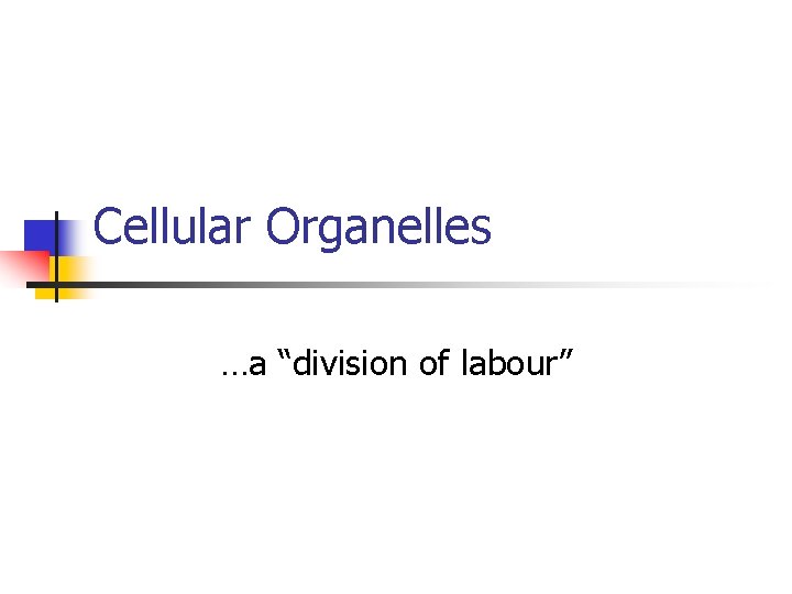 Cellular Organelles …a “division of labour” 