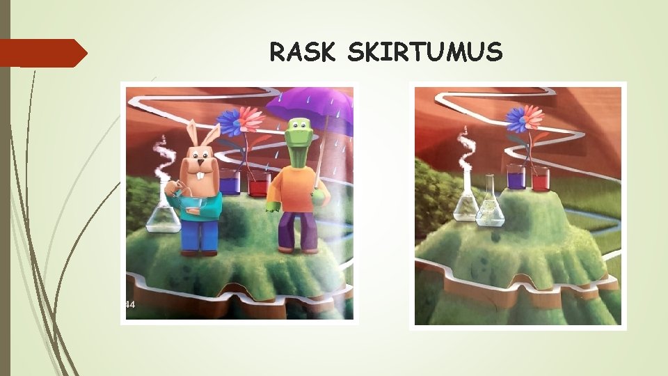 RASK SKIRTUMUS 