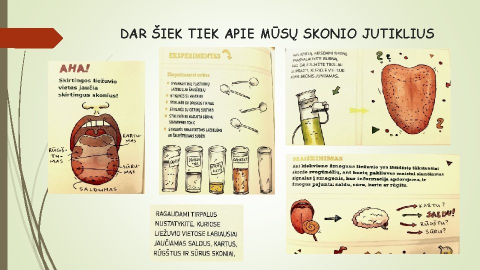 DAR ŠIEK TIEK APIE MŪSŲ SKONIO JUTIKLIUS 