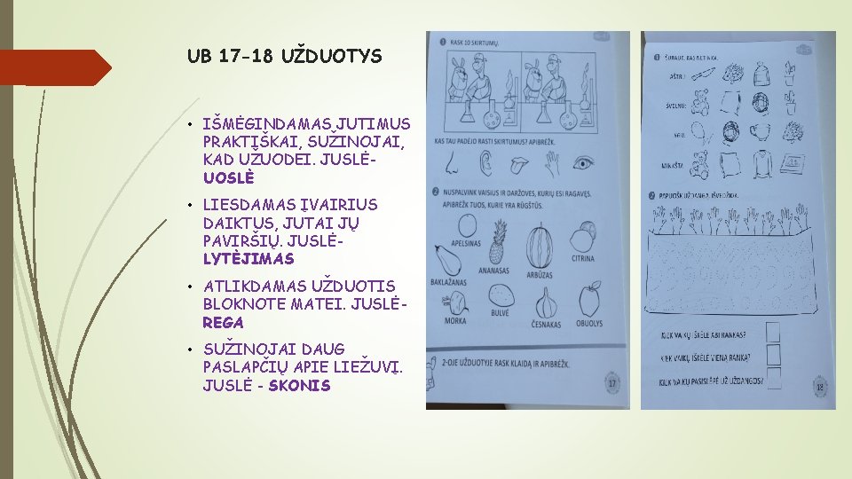 UB 17 -18 UŽDUOTYS • IŠMĖGINDAMAS JUTIMUS PRAKTIŠKAI, SUŽINOJAI, KAD UŽUODEI. JUSLĖUOSLĖ • LIESDAMAS