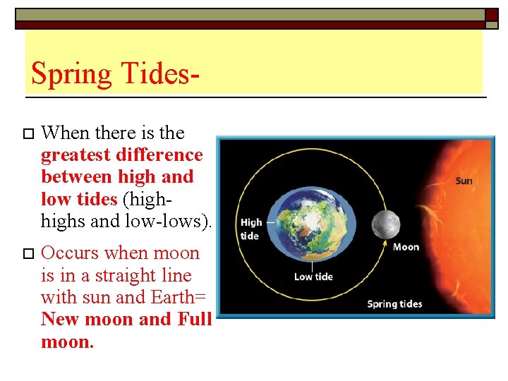 Spring Tideso When there is the greatest difference between high and low tides (highs