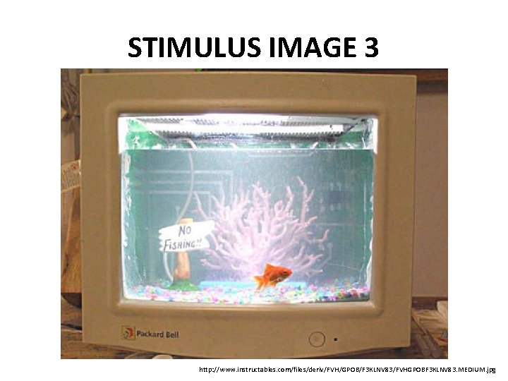 STIMULUS IMAGE 3 http: //www. instructables. com/files/deriv/FVH/GPOB/F 3 KLNV 83/FVHGPOBF 3 KLNV 83. MEDIUM.