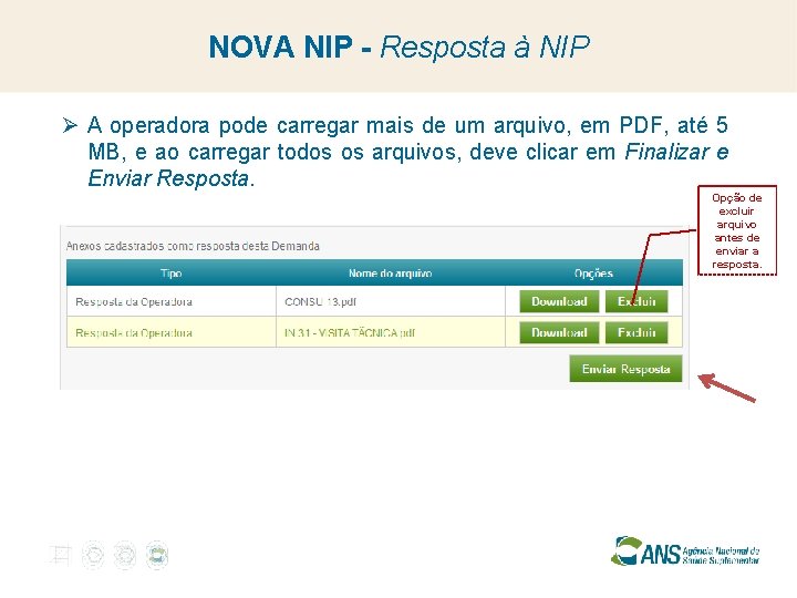 NOVA NIP - Resposta à NIP Ø A operadora pode carregar mais de um