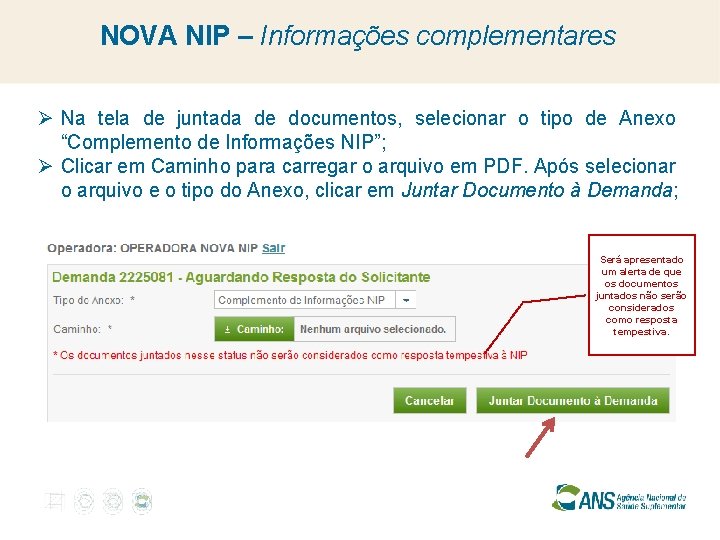 NOVA NIP – Informações complementares Ø Na tela de juntada de documentos, selecionar o